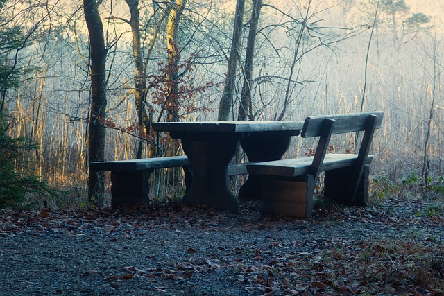 舍瓦利耶：3-0获胜看似轻松其实并非如此，接下来继续争胜
