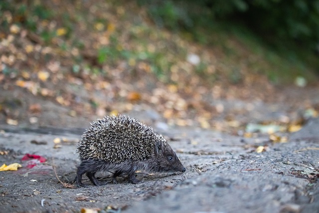 场的梦想尚 场的梦想尚