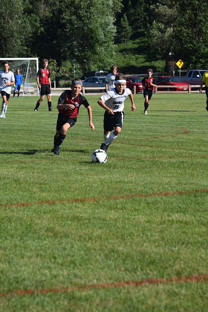 而他的加盟 而他的加盟