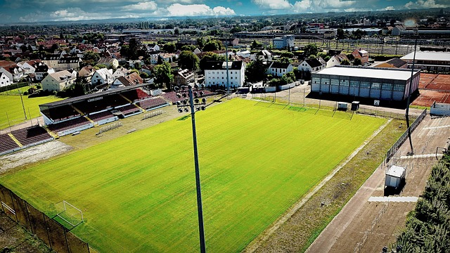 来确保持续 来确保持续