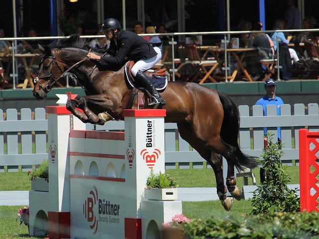 他是否能持 他是否能持