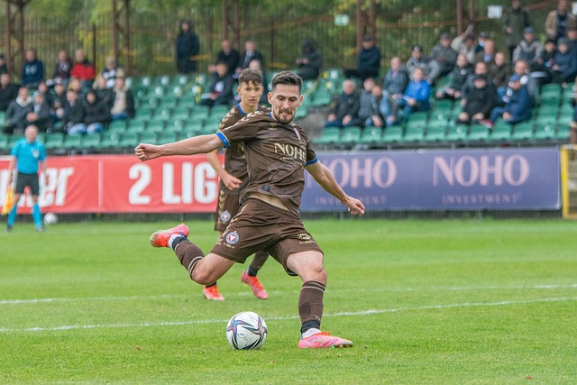 数据显示 数据显示