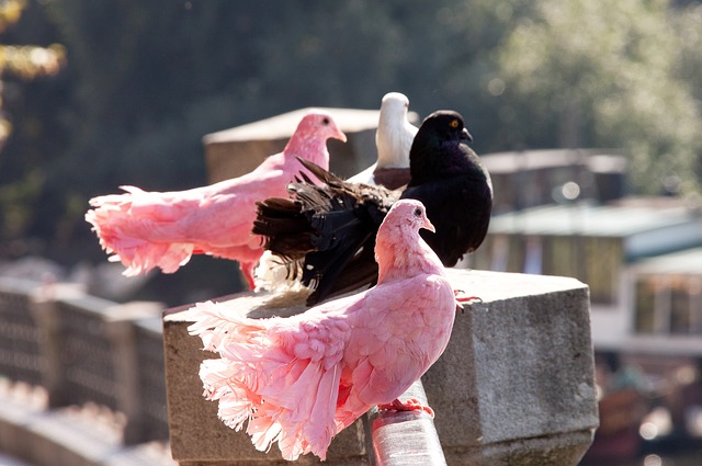 小的失误都 小的失误都