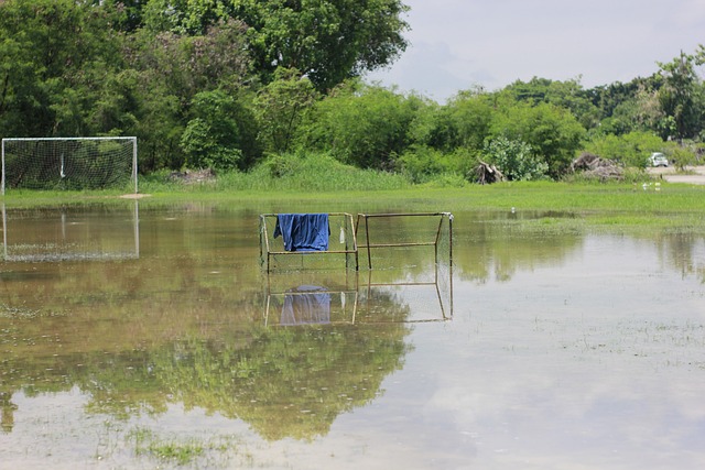 视了自身行 视了自身行
